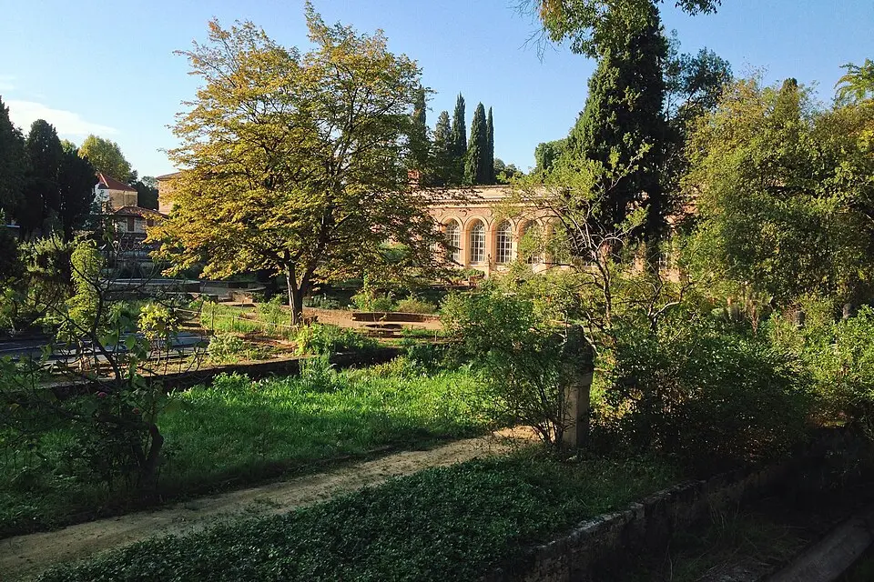 Botanischer Garten (Montpellier)
