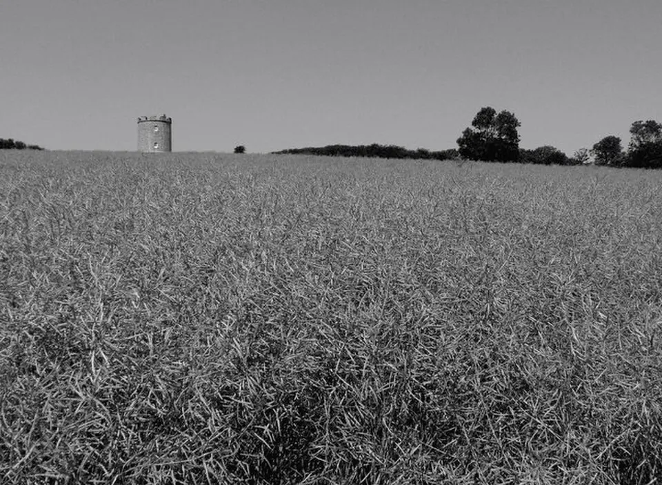 Firle Tower