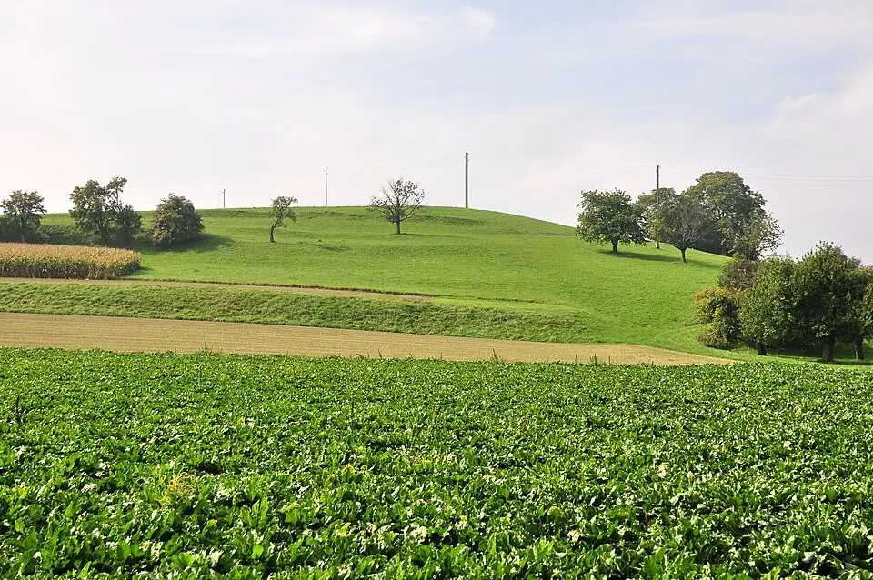 Frühmittelalterliches Gräberfeld