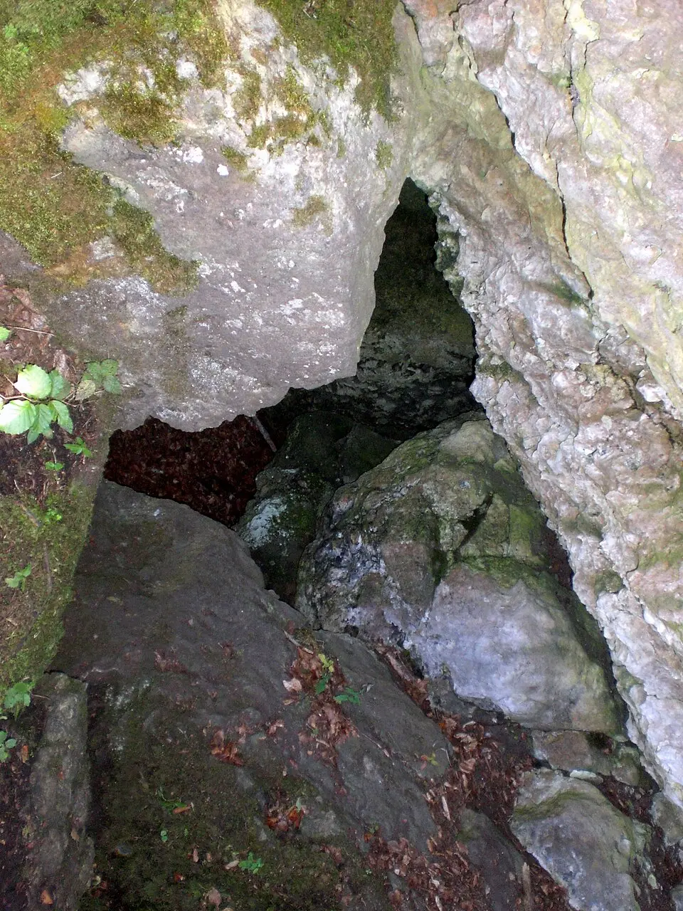 Bild: Derzno · CC BY 3.0 Fleischhöhle bei Plech