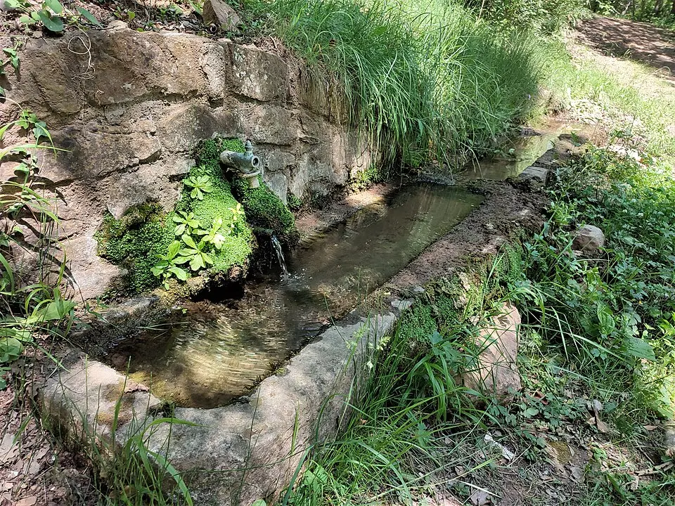 Font dels Bous