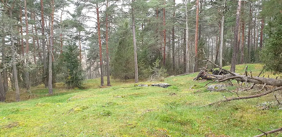 Bild: Tiitinen, Teija / Museovirasto · CC BY 4.0 Salmistonmäki