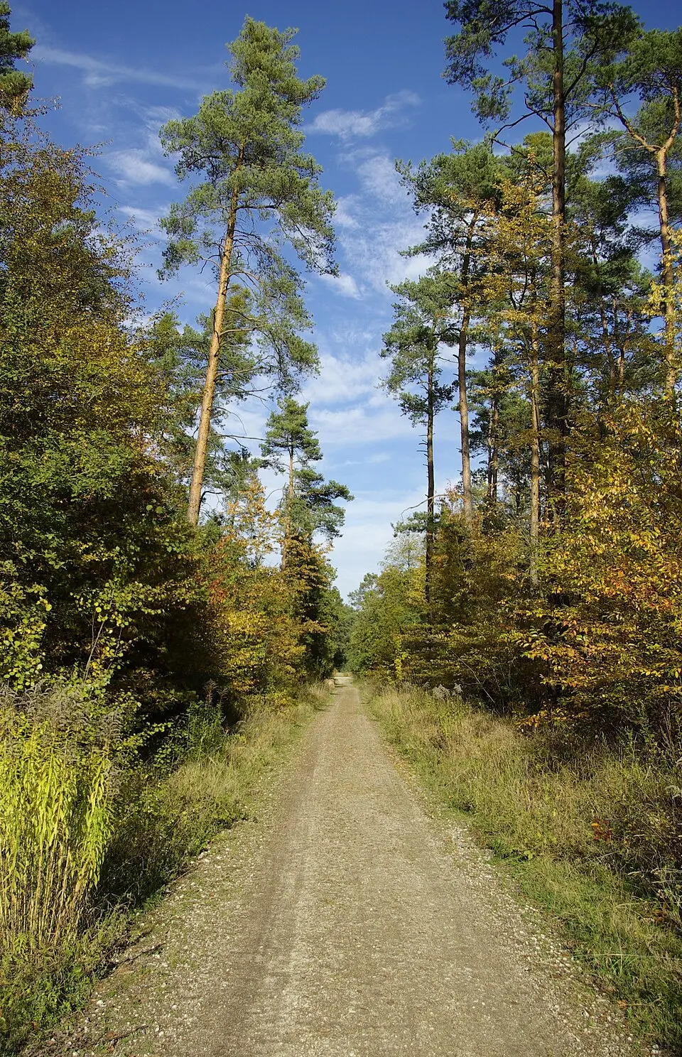 Bild: Janericloebe · CC BY 3.0 Forst Tennenlohe